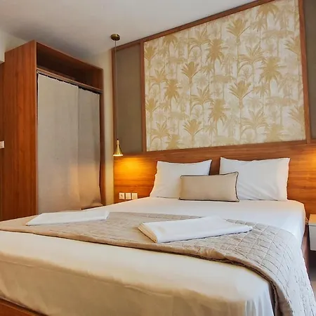 Astra Luxury サルティ